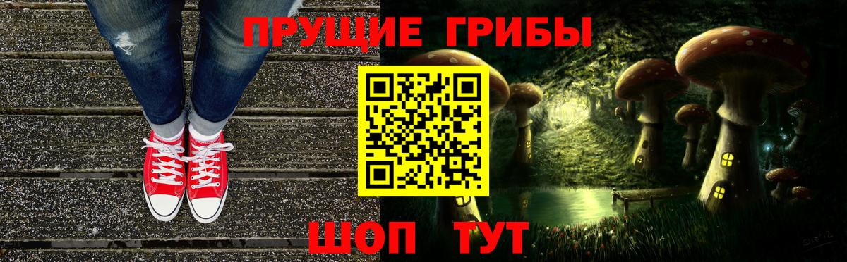 Псилоцибиновые грибы GOLDEN TEACHER Новочеркасск